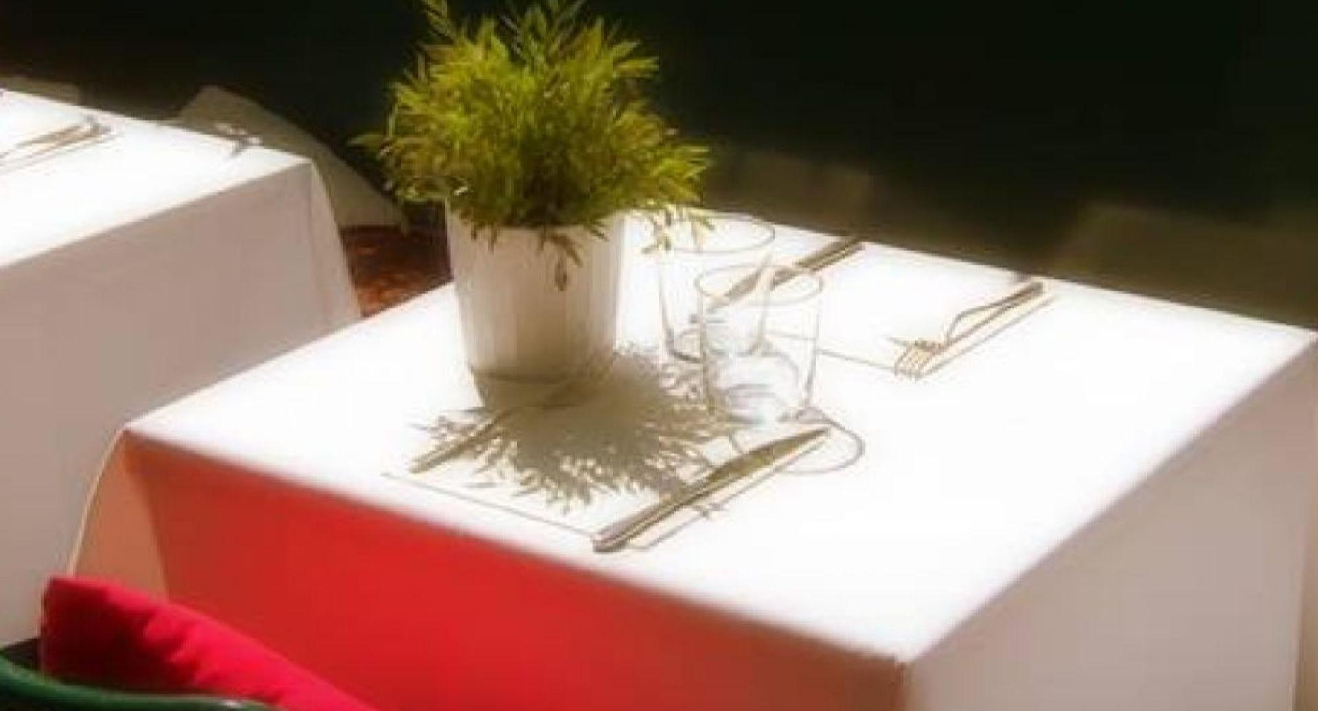 CLASSICO trattoria & cocktail photo 5