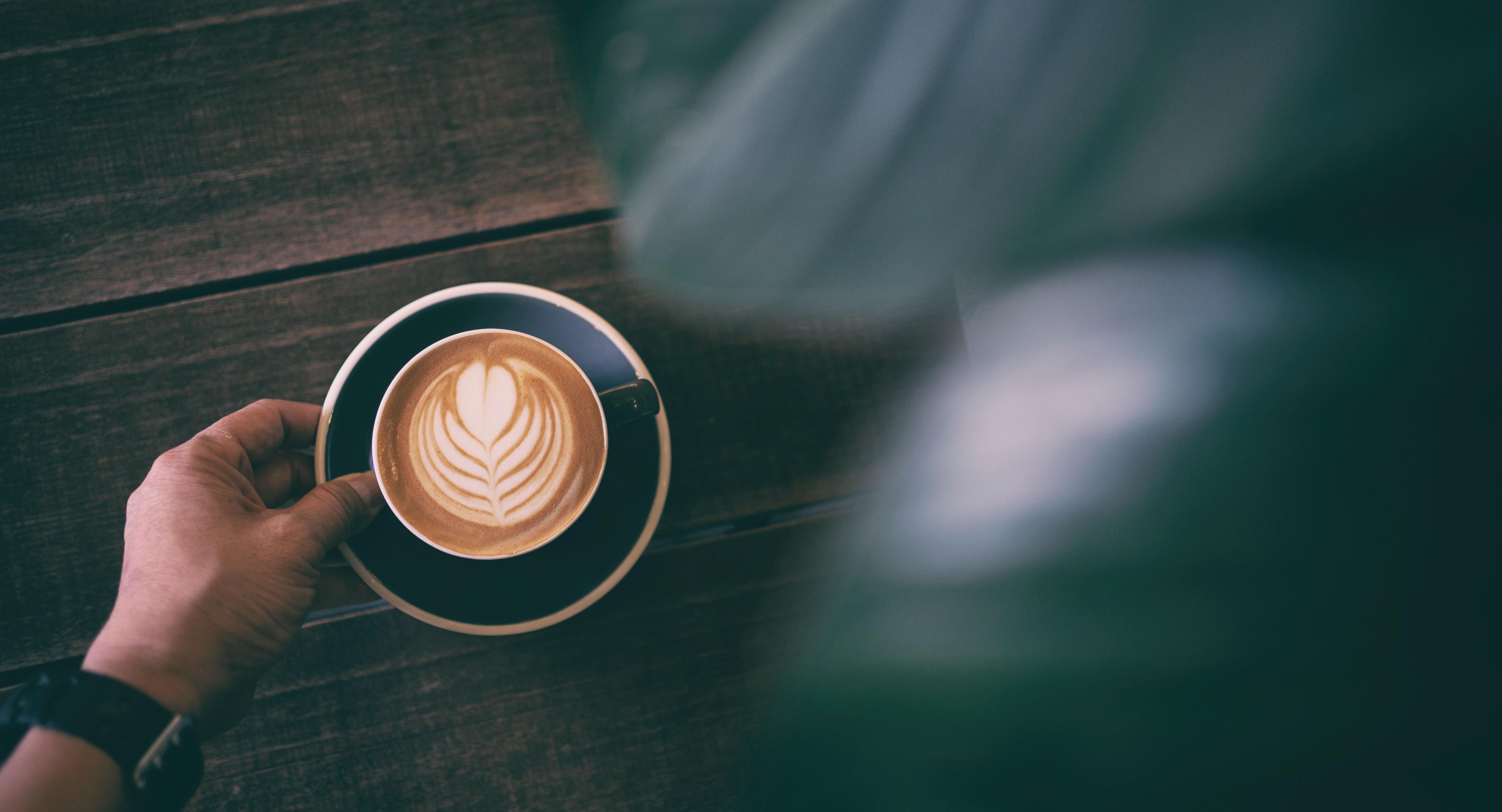 Dutch Colony Coffee Co. - Our Tampines Hub photo 2