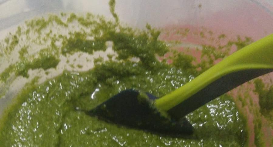 Trattoria Bar Peschiera photo 5