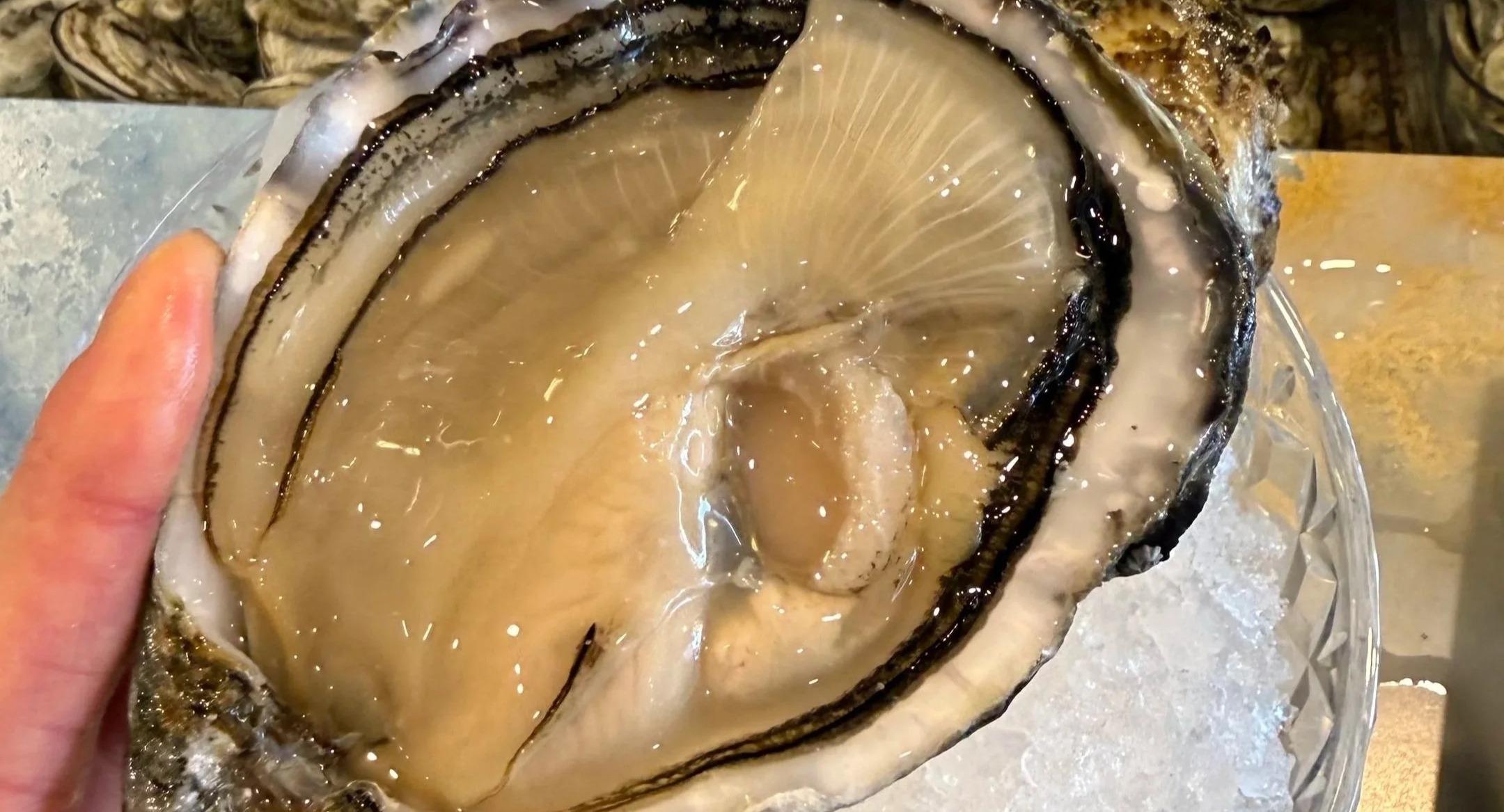 Olala Seafood by Muli photo 3