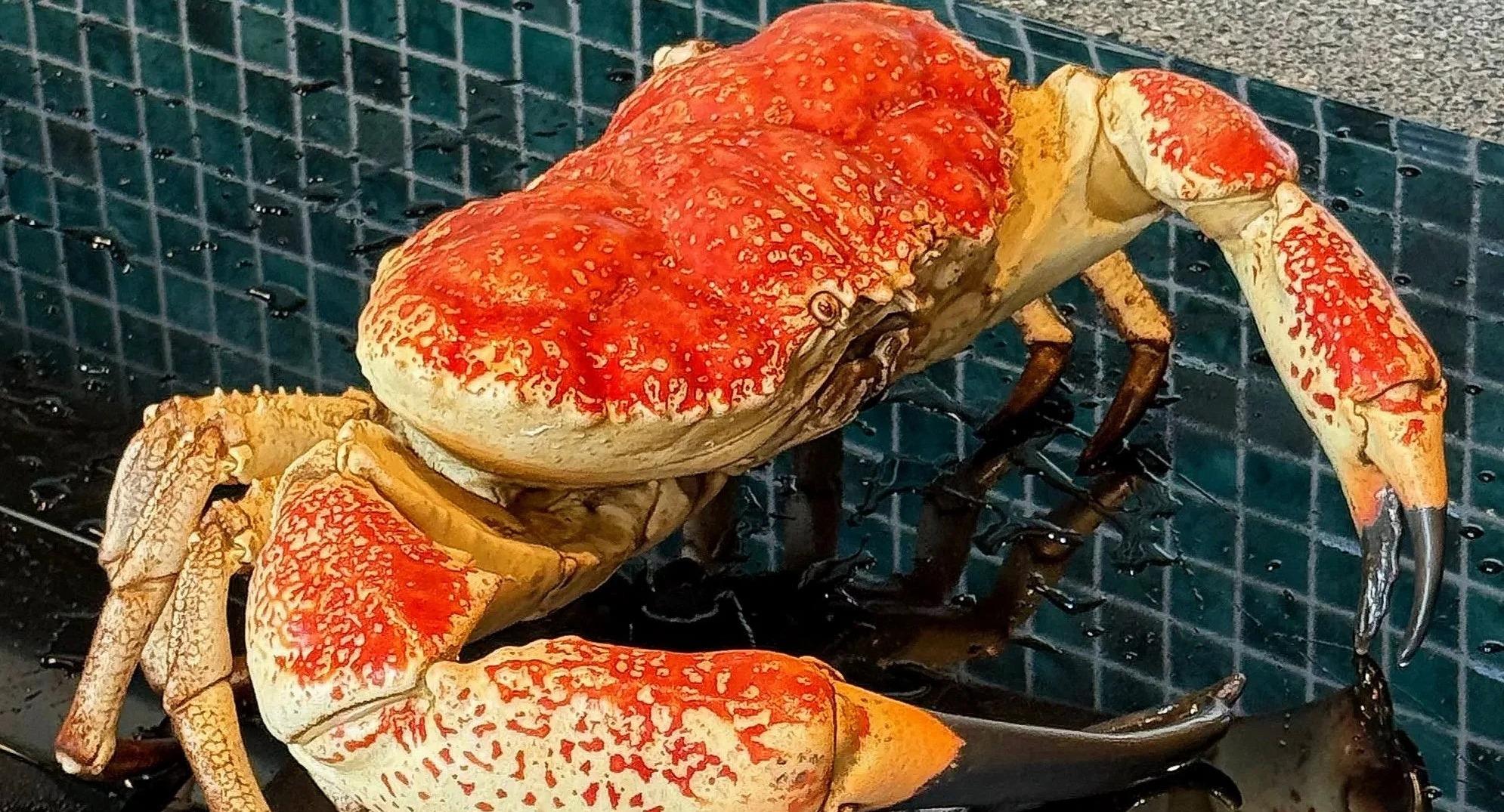 Olala Seafood by Muli photo 4