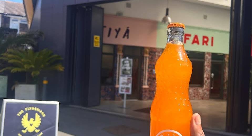 The Flygerians photo 3