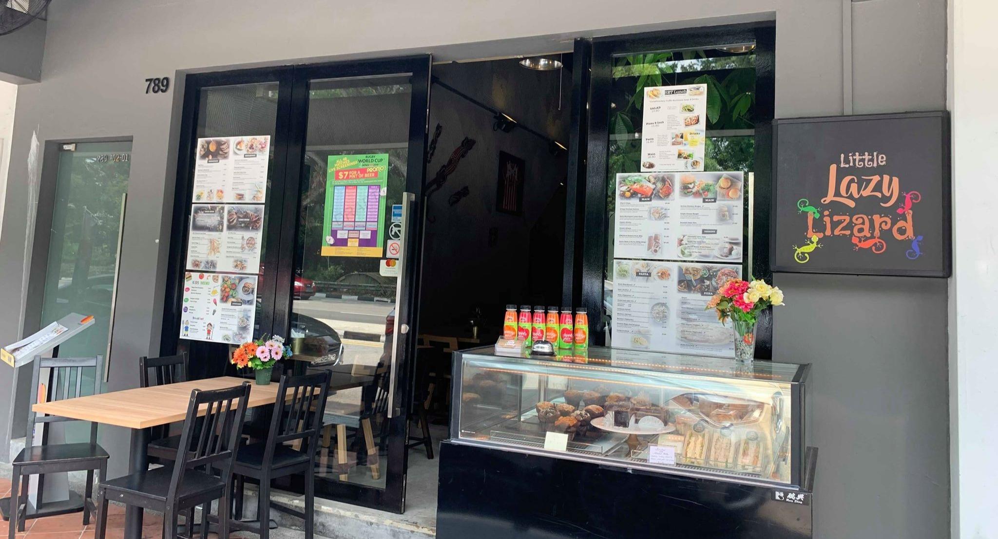 Little Lazy Lizard photo 4