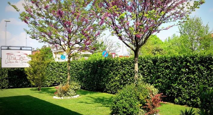 Osteria Dei Binari Cotignola RA photo 2