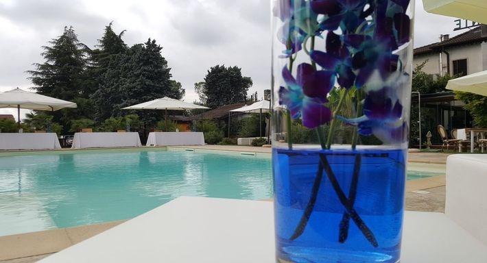 Ristorante Park Hotel Elefante photo 2