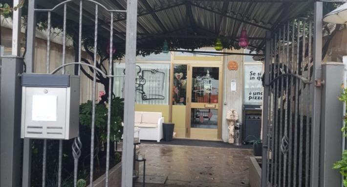 Al Barracuda photo 3