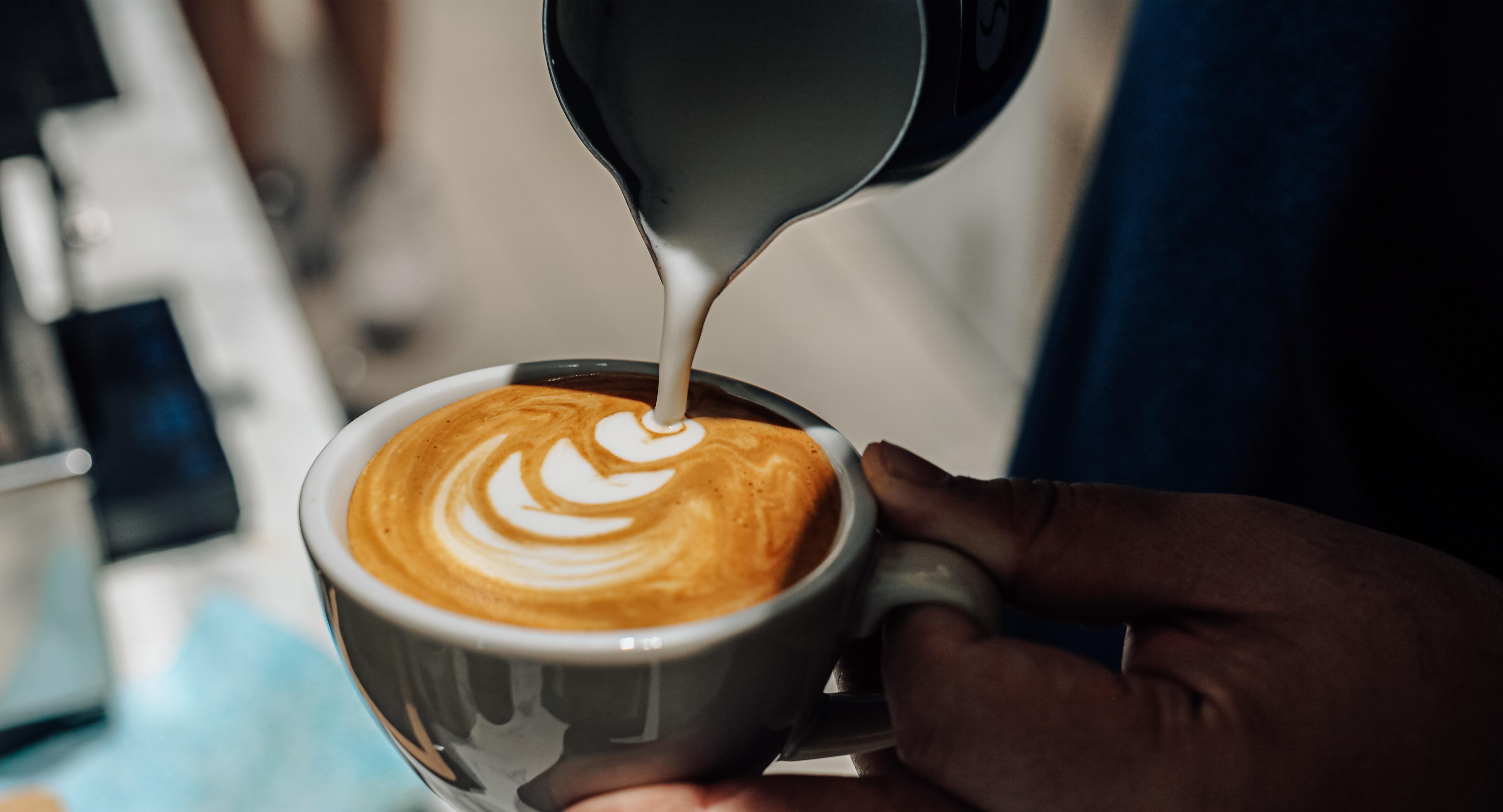 Burnt Cones Gelato (NUS MD11) photo 5