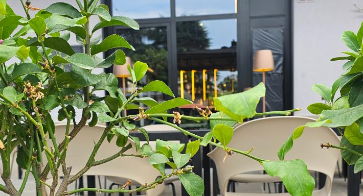 Gusto - vino e cucina photo 2