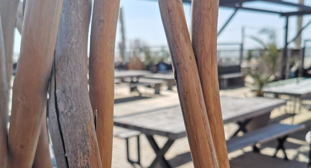 Buena Vista Beach Club