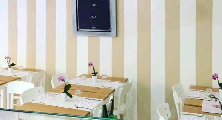 Afrodita Chef photo 2