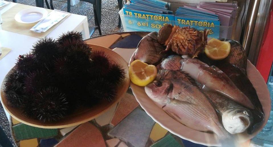 Trattoria del Sole photo 3