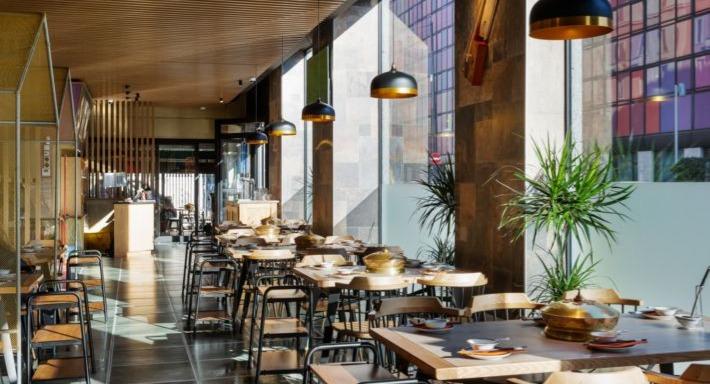 Little Lamb Bernina photo 2