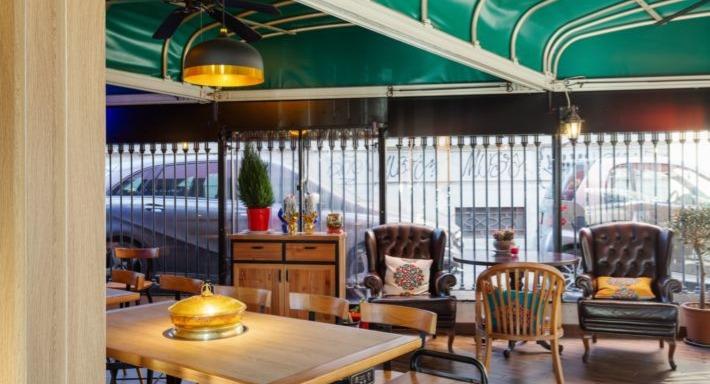 Little Lamb Bernina photo 3