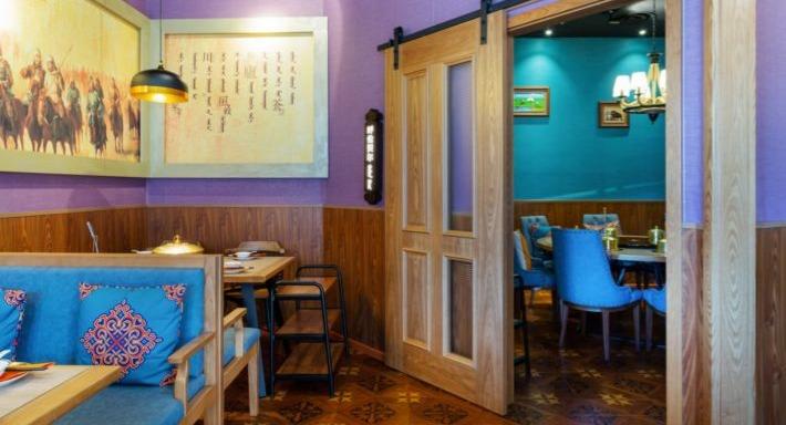 Little Lamb Bernina photo 5