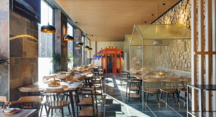 Little Lamb Bernina photo 4