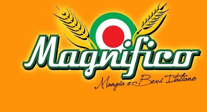 Magnifico photo 3