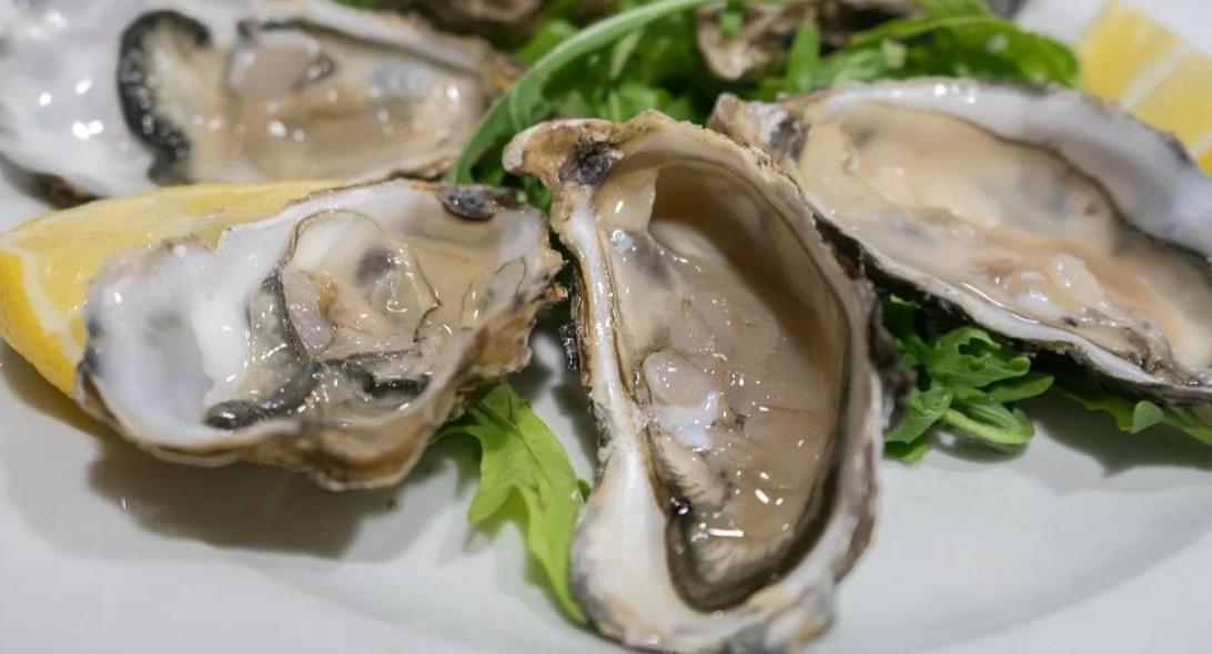 Ristorante Pizzeria Dall'Amicone photo 3