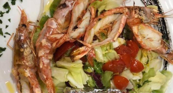 Mister Tomato photo 4