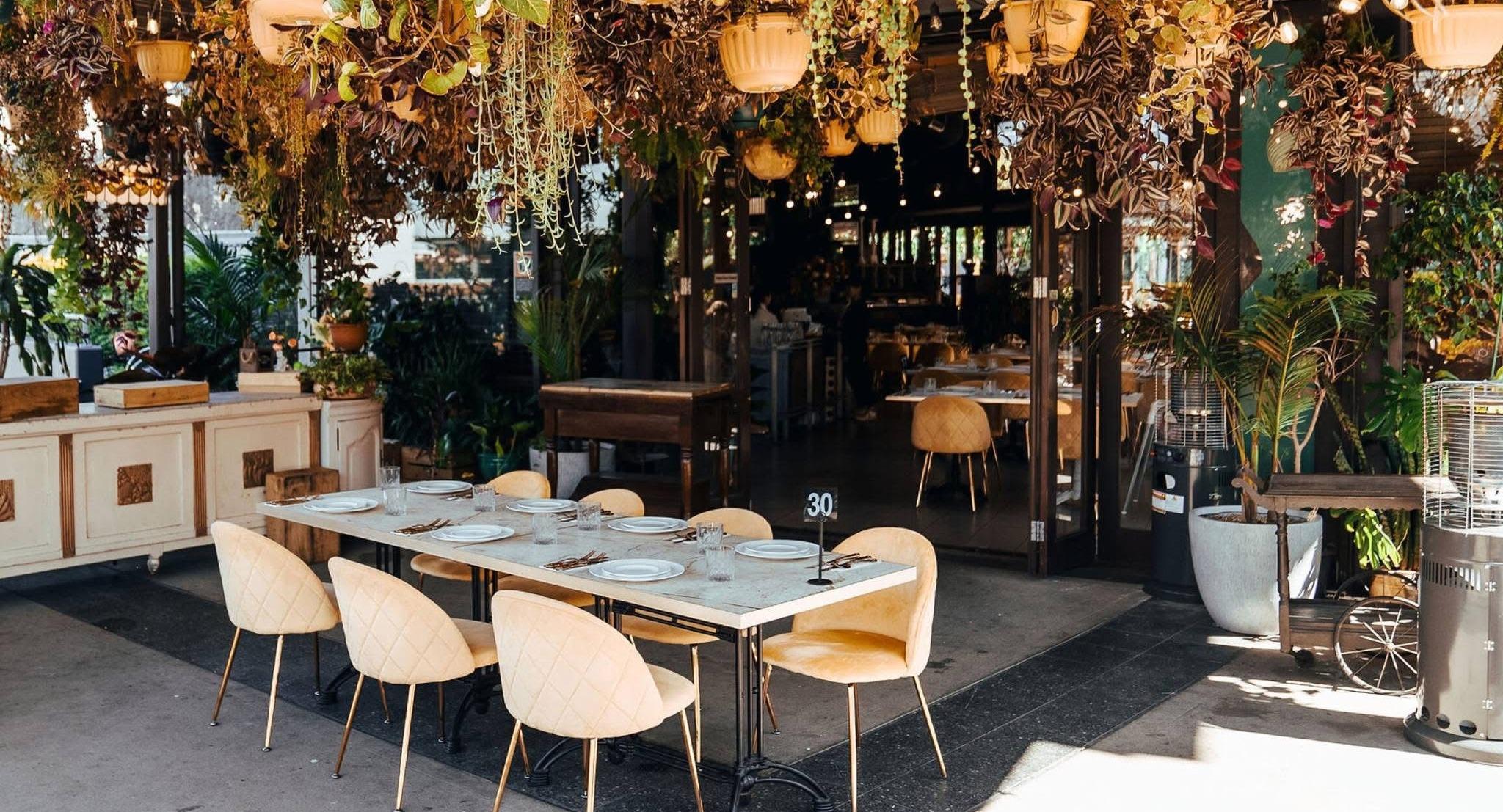 Maestria Restaurant & Bar by Cedrus photo 3