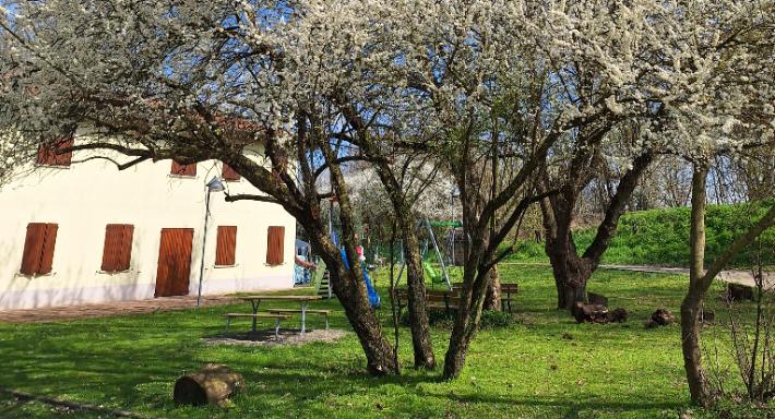 Ristorante Oasi la Rizza photo 2