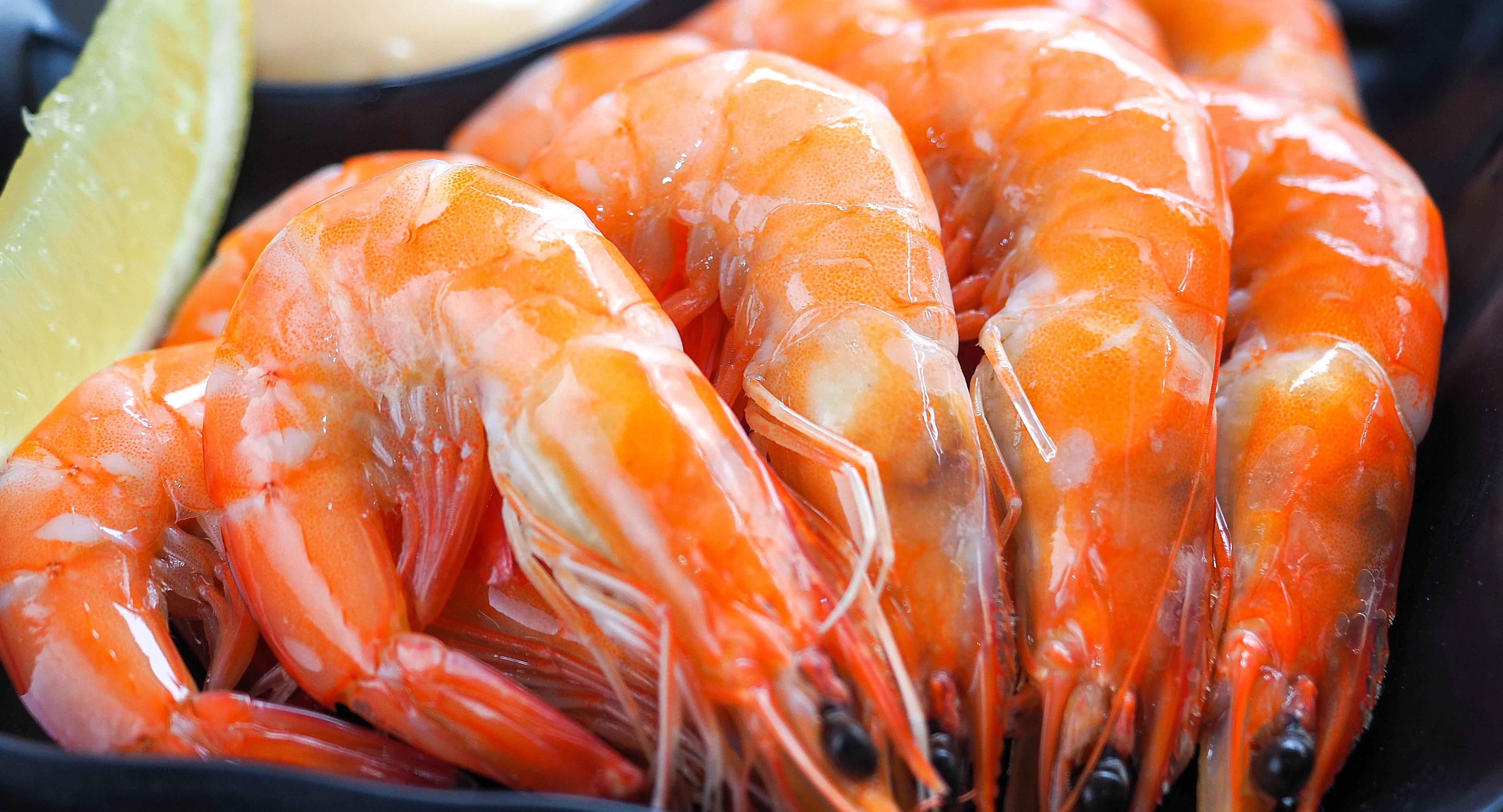 Omasa Japanese All You Can Eat - Joondalup photo 4