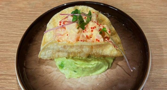 SHINZO FUSION photo 2