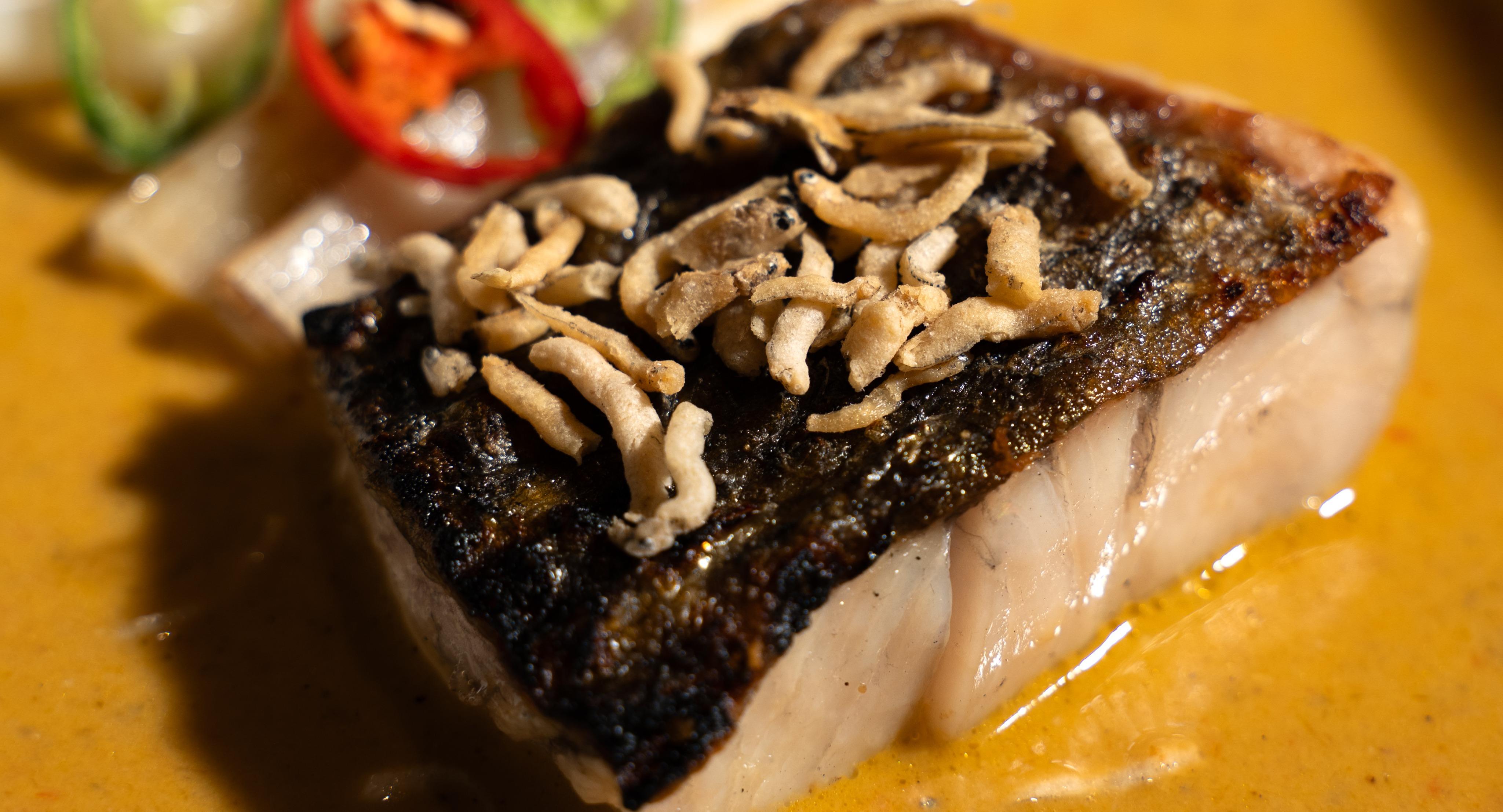 South & East photo 5