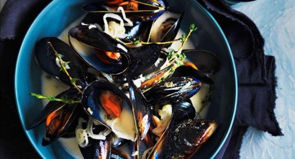 Lazy Lizard - Flora Vista photo 4