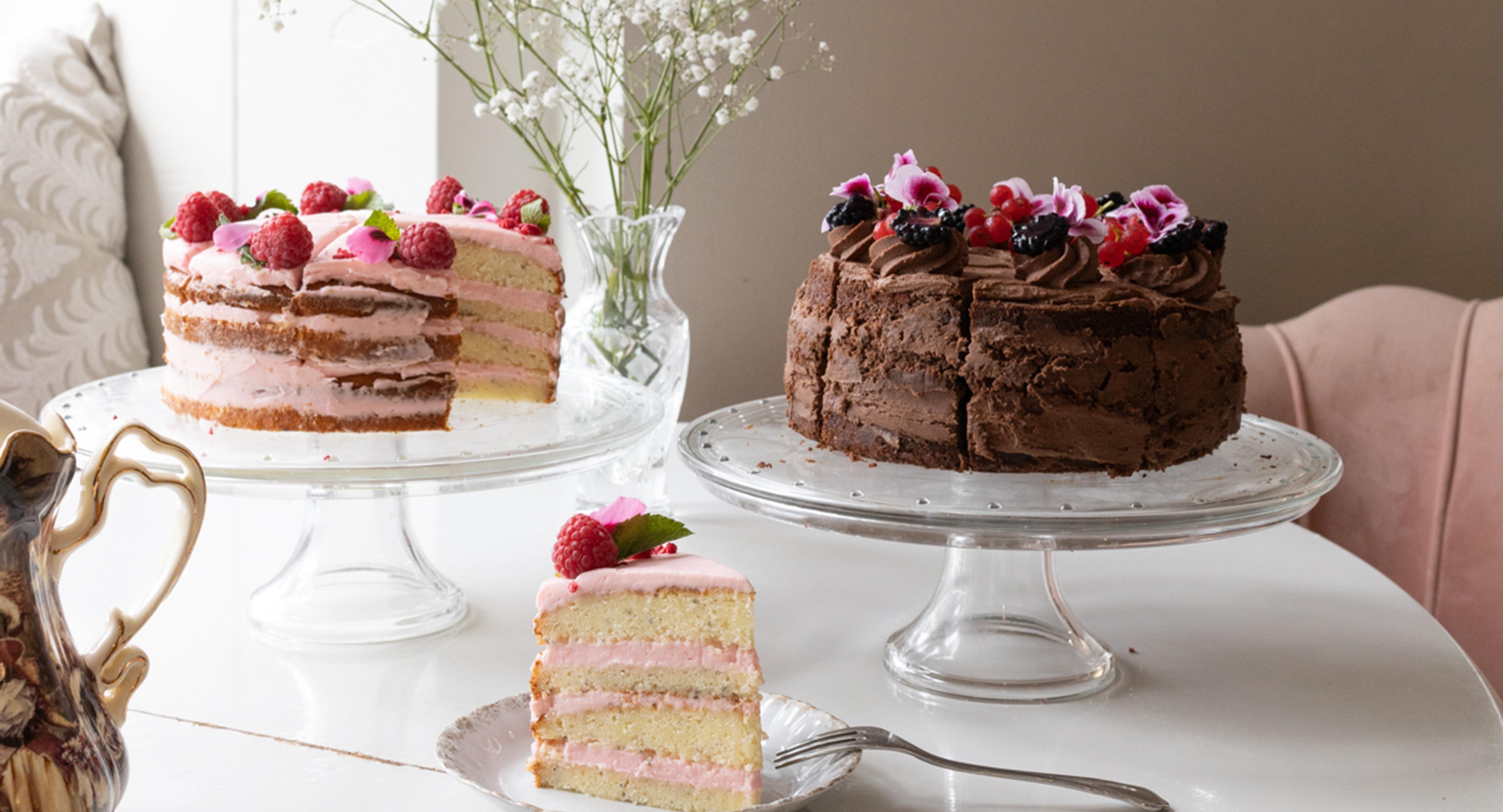 Relove Freda photo 4