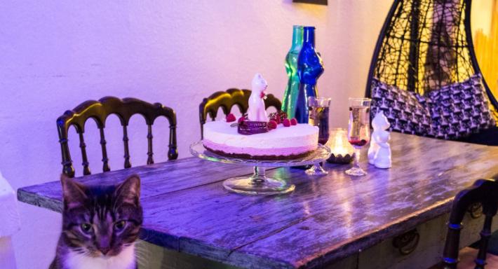 Kissakahvila Helkatti