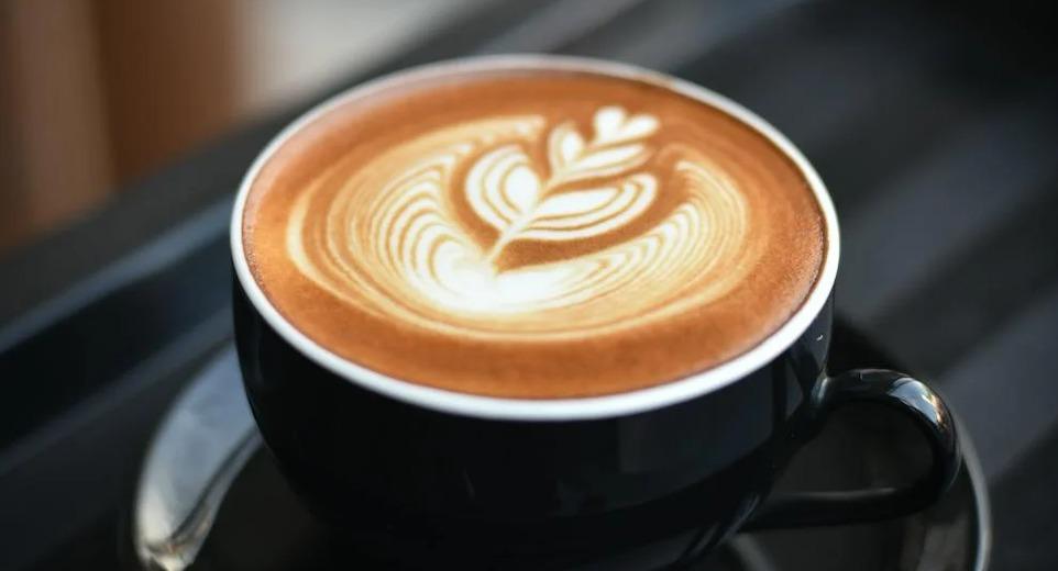 Papion Bites photo 5