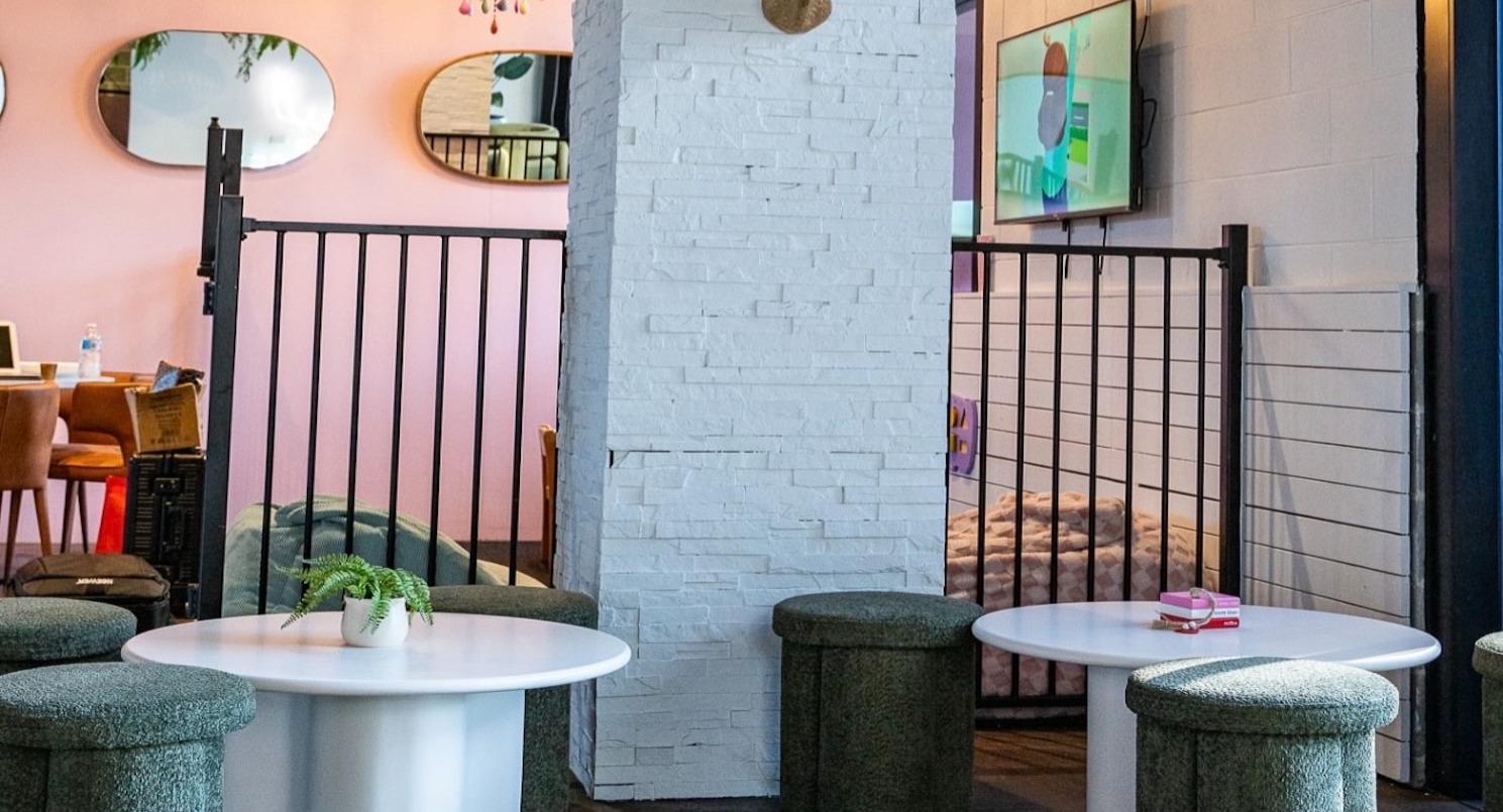 Hello Moose Cafe photo 2