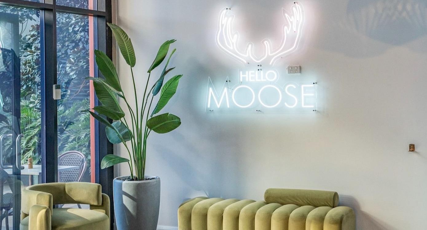 Hello Moose Cafe photo 3