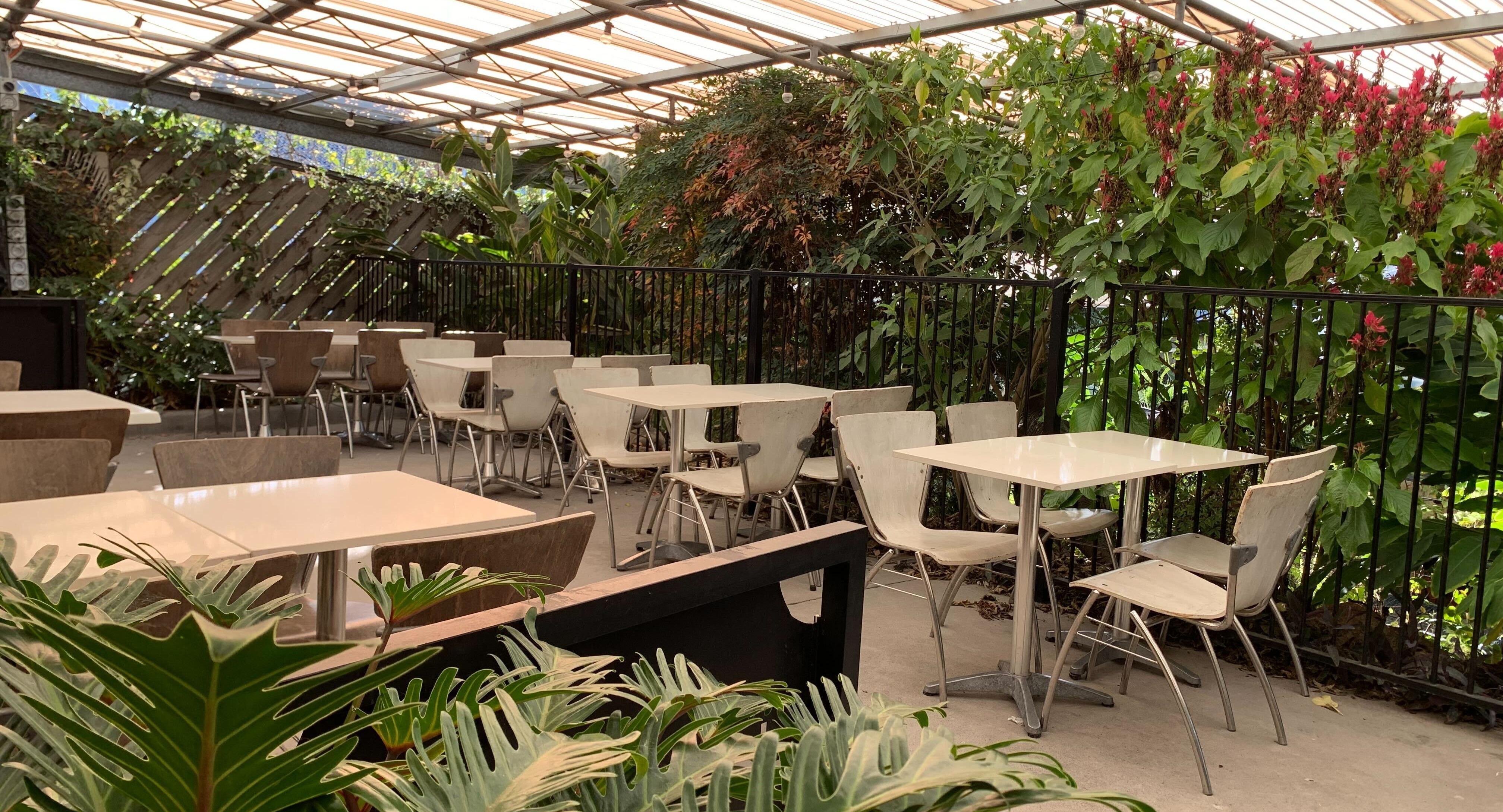 Cafe Harvest photo 3