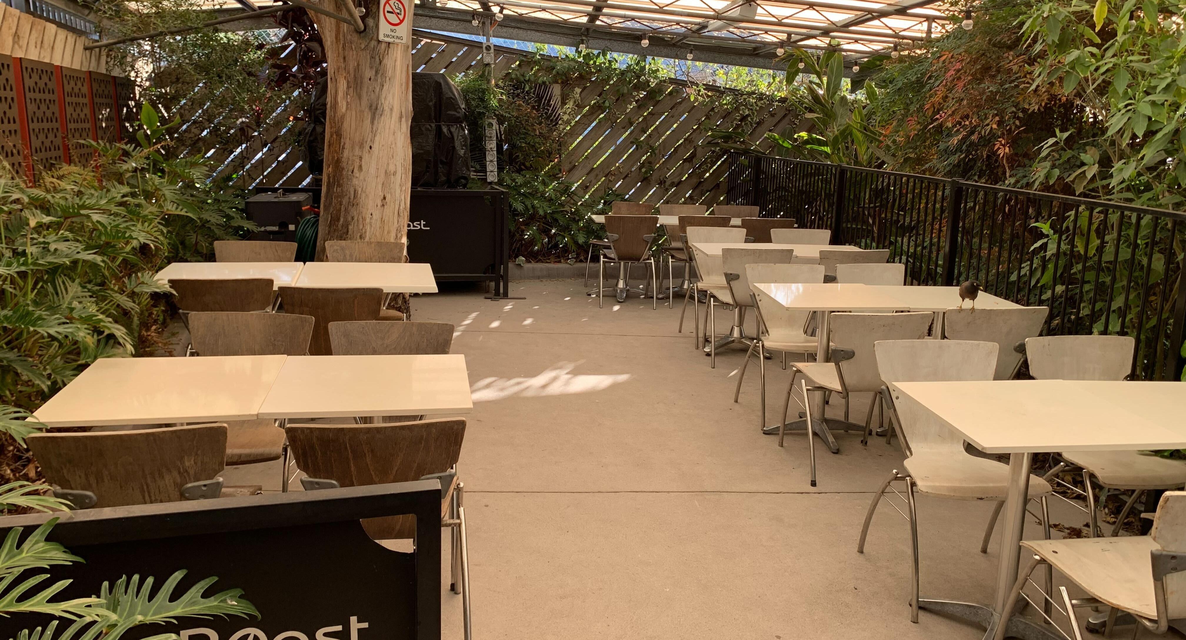 Cafe Harvest photo 5