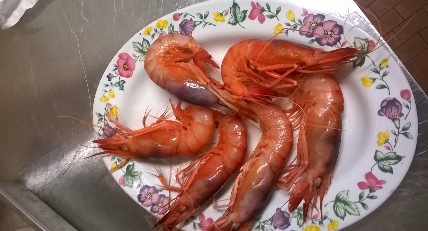 Trattoria Archivolto Mongiardino photo 3