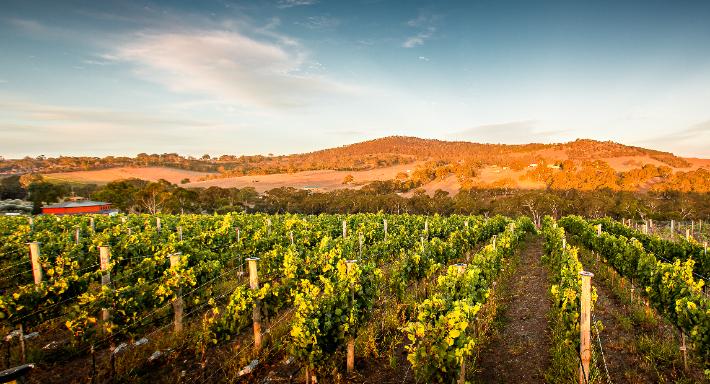 Ngeringa Vineyards & Cellar Door