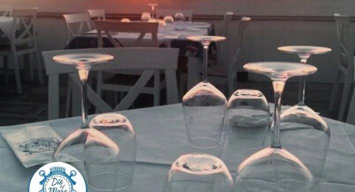 Dio del Mare | Gallipoli photo 4