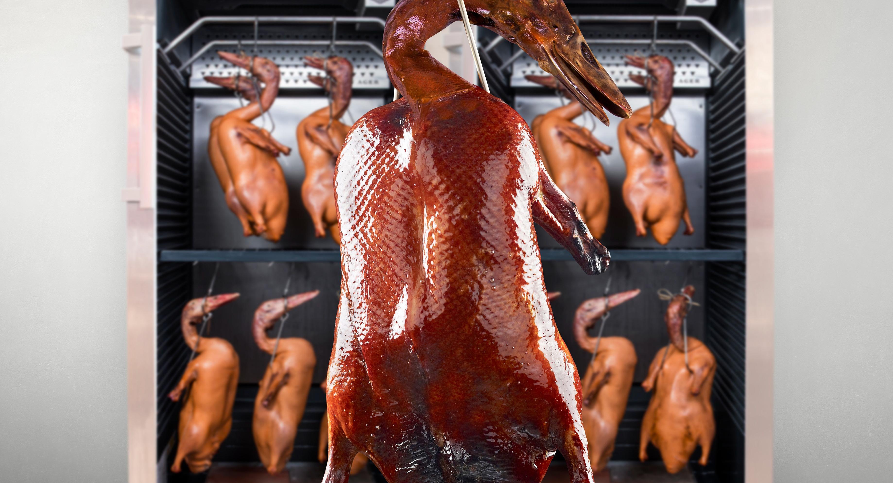 East Treasure Chinese Restaurant (東寶) - Toa Payoh photo 2