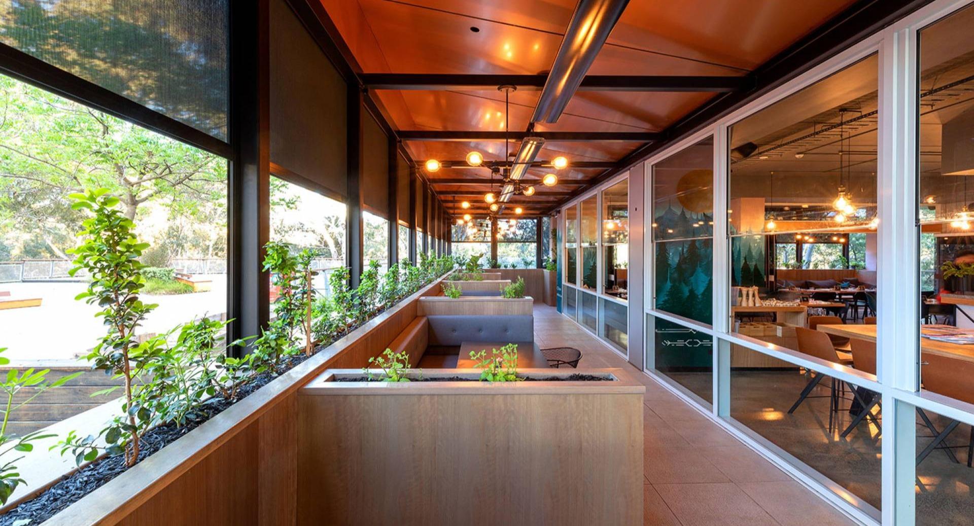 Wolf on Watton photo 4