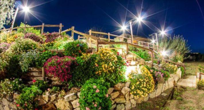 Dal Patriarca photo 2