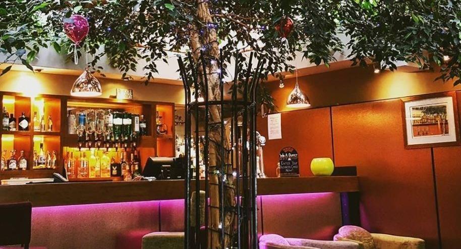 The Braided Fig photo 2