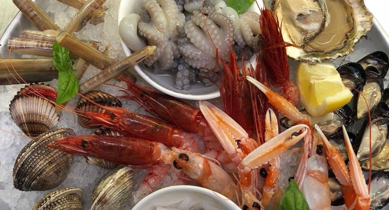 Plebiscito Sette photo 2