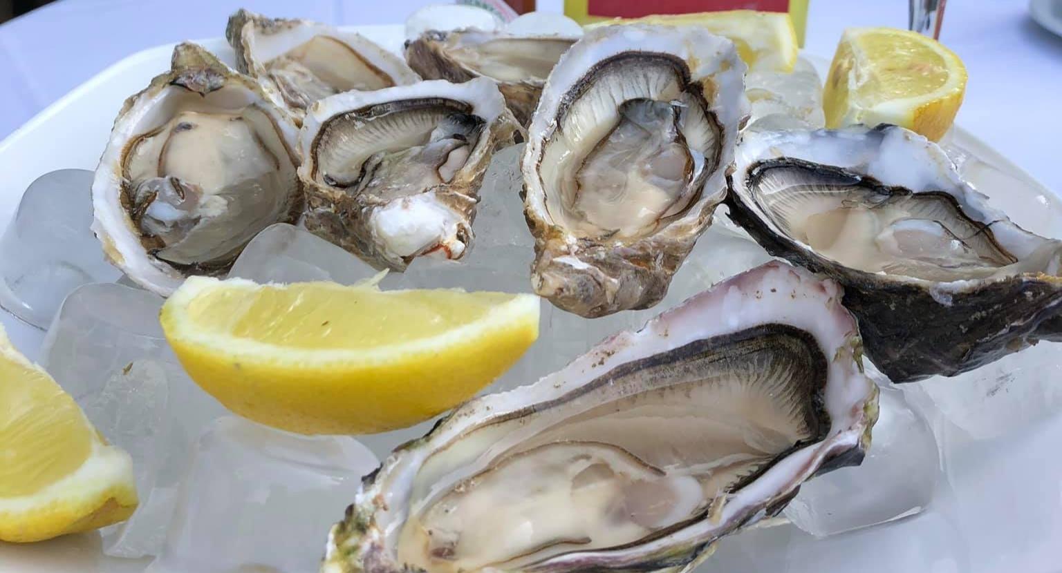 Manuel's Restaurant and Bar photo 2