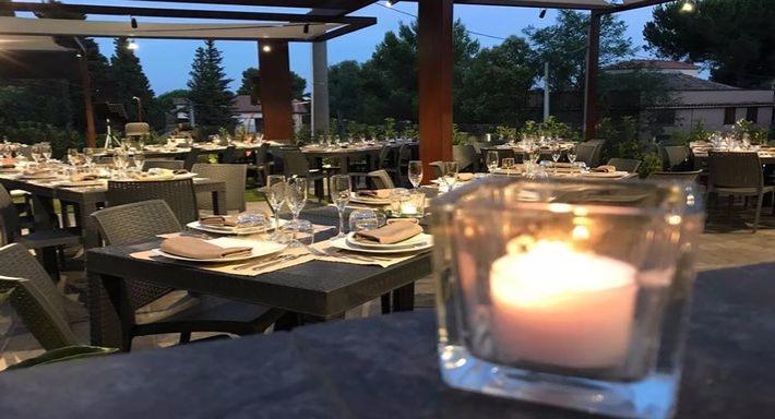 Nicolosi - Pudamuri - Ristorante Pizzeria photo 2