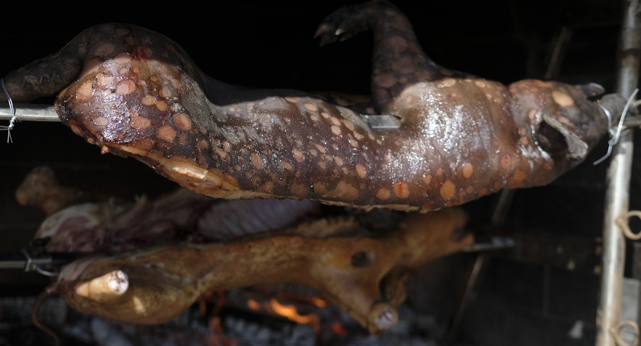 Trattoria Macelleria Vivarelli photo 5