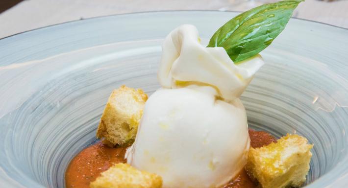 Sphaeristerium photo 3