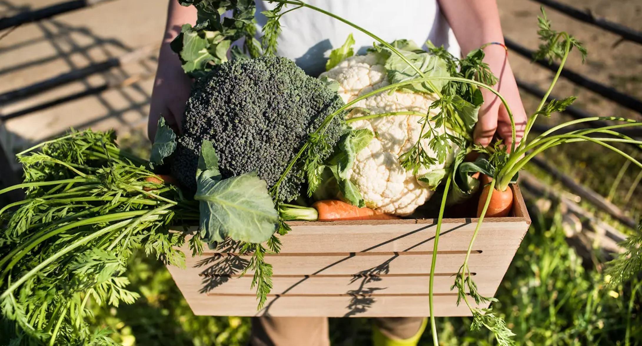 Topf & Deckel photo 2