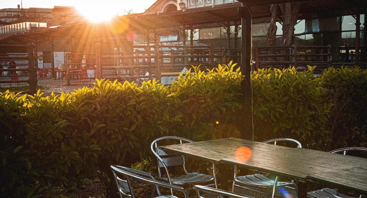 Collettivo Gastronomico Testaccio