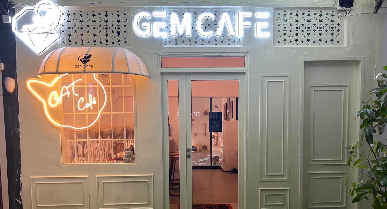 Gem Cat Cafe photo 3